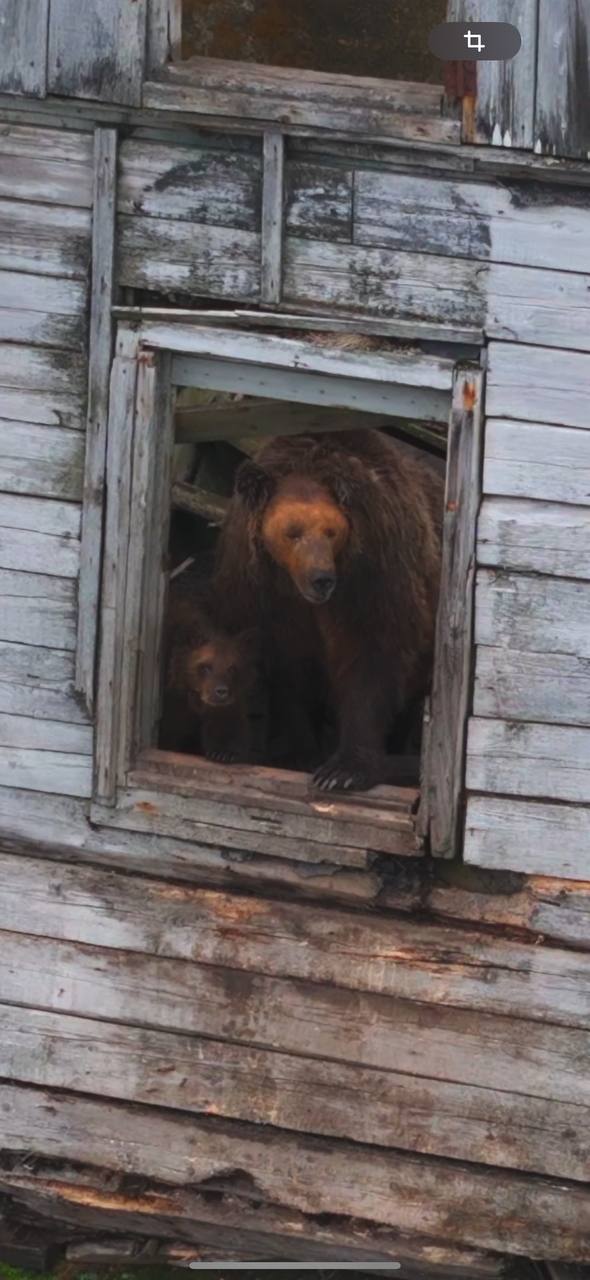 Изображение из путешествия